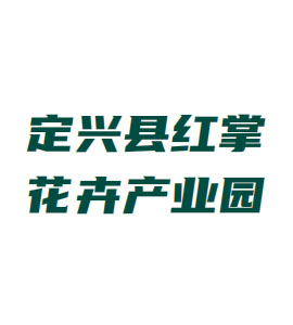 安徽定兴县红掌花卉产业园